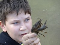 33 Kein Fisch